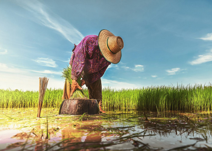 Hari Tani Nasional 2026: UU Reforma Agraria Disahkan, Apa yang Berubah bagi Petani?