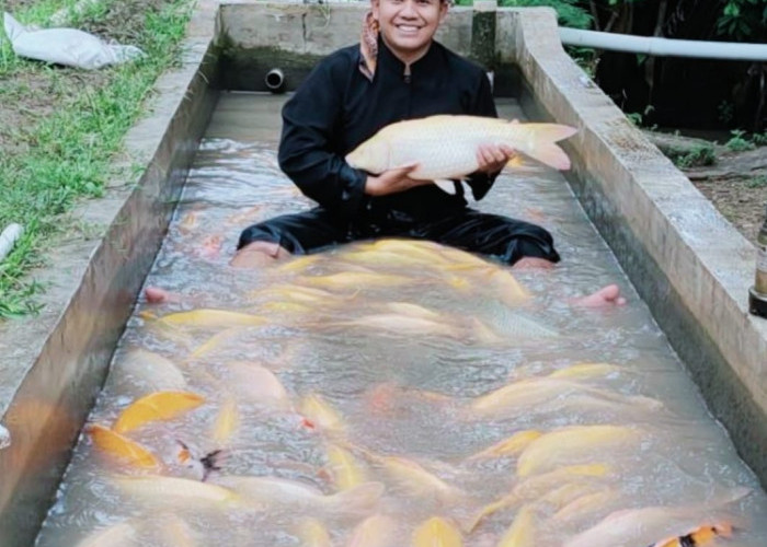 Siapkan Jadi Desa Wisata, Desa Bandung Andalkan Ikan Mas Sinyonya 