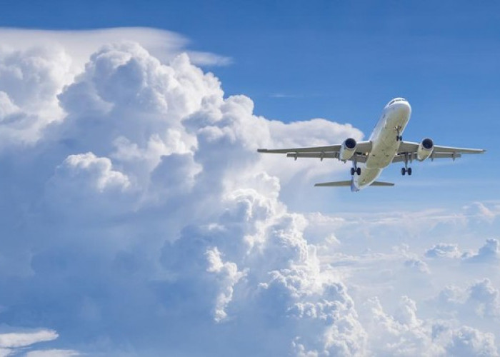 Boarding Pesawat, Viral Pramugara Dipukul Penumpang Rute Lombok-Jakarta