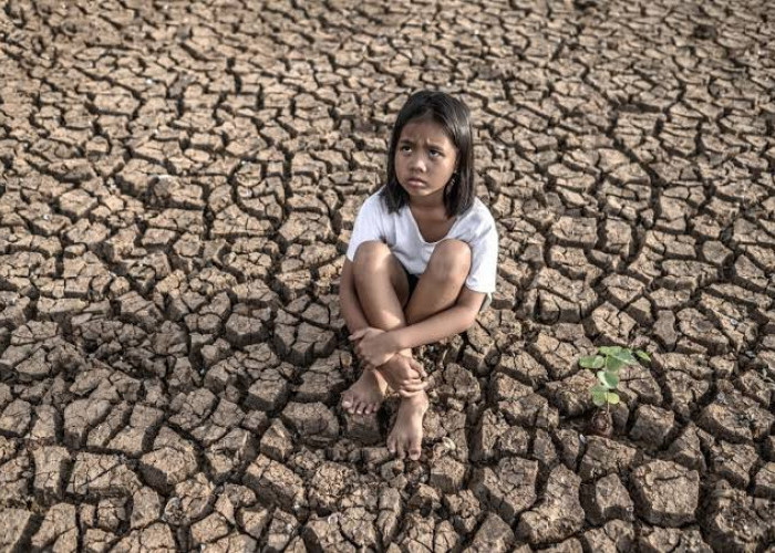 Super El Niño 2026 Mengintai, Indonesia Bersiap Hadapi Ancaman Kekeringan hingga Lonjakan Harga Pangan