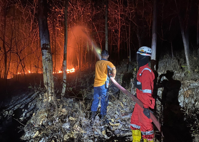 Karhutla Kalimantan Makin Mengkhawatirkan, Ribuan Personel Dikerahkan Padamkan Api