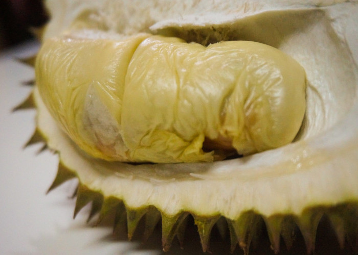 Ragam Manfaat Buah Durian untuk Kesehatan, Nomor 11 Pas untuk Pancaroba