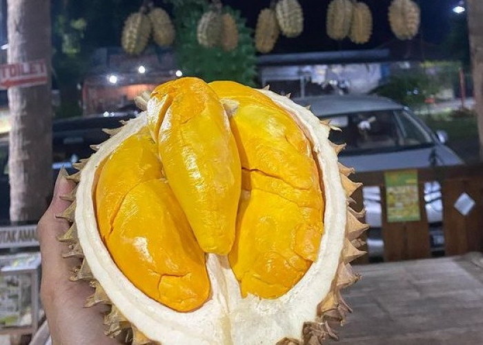 Rekomendasi Tempat Makan Durian di Serang dan Pandeglang Paling Maknyus