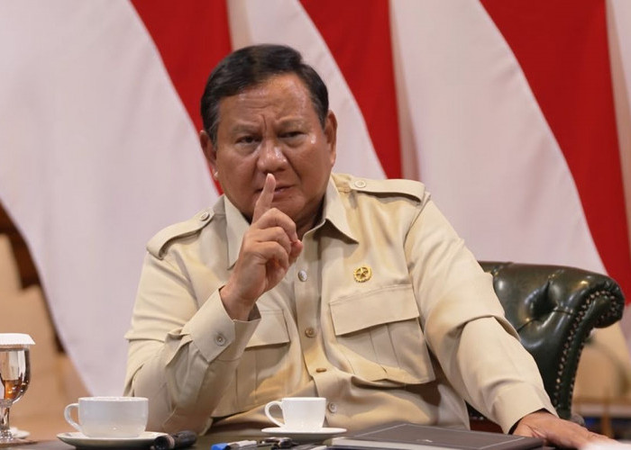 Kuliah Gratis di PTN Mulai Dihitung, Prabowo Bentuk Tim Khusus Dipimpin Pratikno