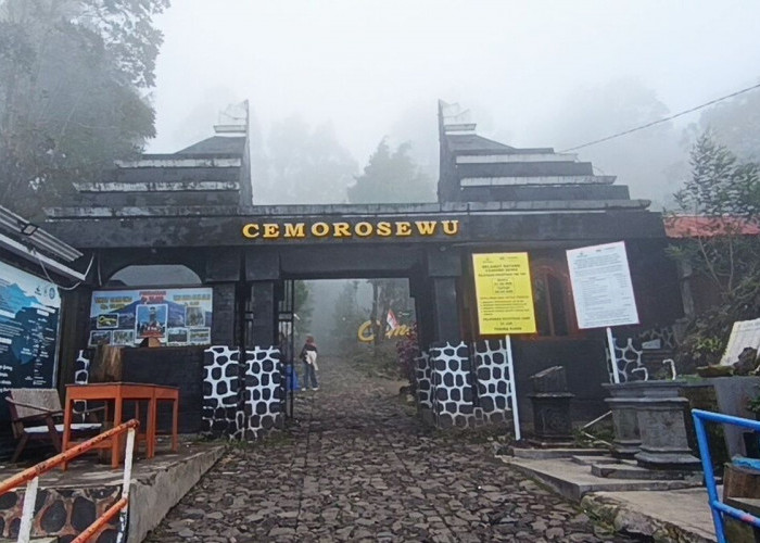Gunung Lawu Kebakaran, Tiga Jalur Pendakian Ditutup Sementara