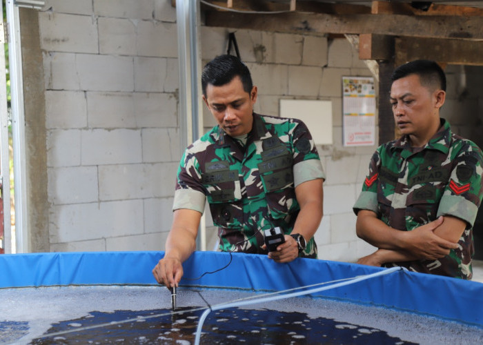 Gunakan Metode Bioflok, Kodim 0603/Lebak Budidaya Ikan Nila Merah