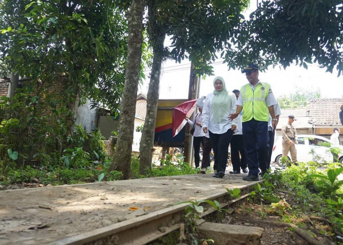 Warga Pandeglang Minta Kemenhub Segera Reaktivasi Jalur Kereta Api Rangkasbitung-Labuan