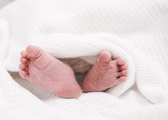Kabar Bahagia, Pasangan Kenny Austin dan Amanda Manopo Dikaruniai Anak Pertama