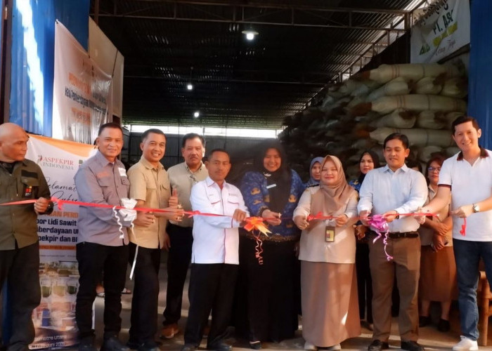 Limbah Sawit Indonesia Tembus Pasar China, 28 Ton Diekspor Perdana