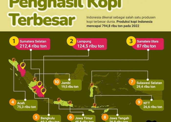Inilah 10 Provinsi Penghasil Kopi Terbesar di Indonesia 