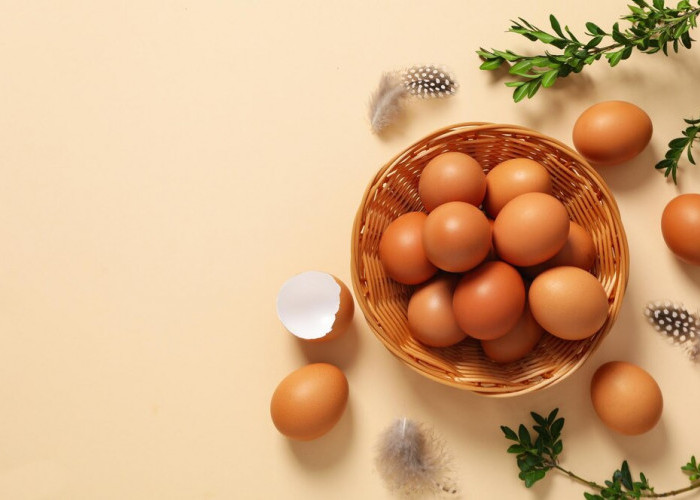 Nutrisi Telur Jadi Hilang Banyak Karena Ini, Ikuti Cara Memasak Telur yang Benar 