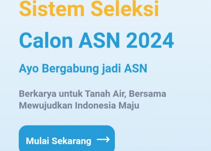 Tips Lengkap Mengisi Profil SSCASN 2026, Kunci Lolos Verifikasi Administrasi CPNS dan PPPK