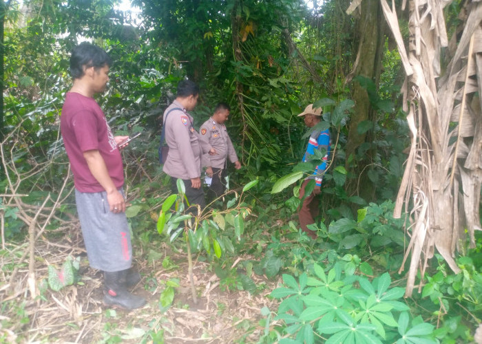 Motor Warga Tangerang Hilang di Walantaka, Ditemukan di Kebun Warga Petir 