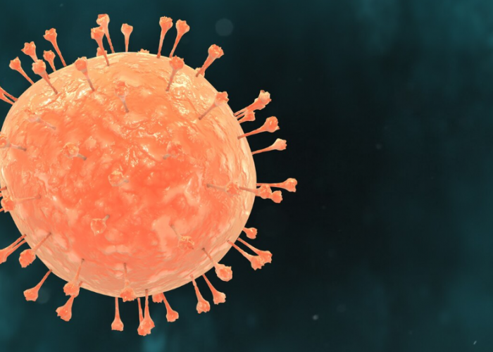 Tingkat Fatalitas Capai 70 Persen Kenali Gejala dan Penularan Virus Nipah