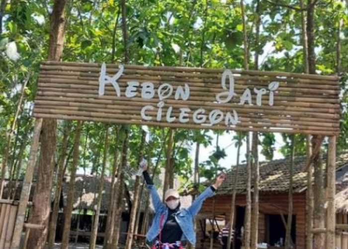 Kebon Jati Cilegon, Wisata Cilegon dengan Indahnya Hamparan Pepohonan Jati