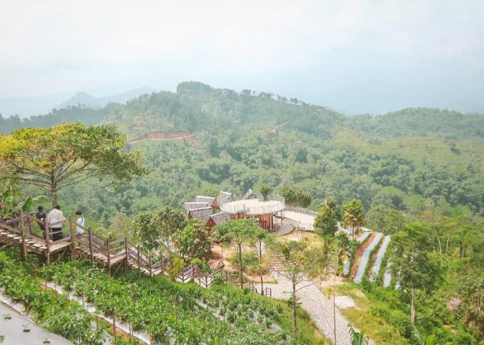 Gunung Kendeng Agrowisata dengan Pemandangan Asri Yang Instagramble