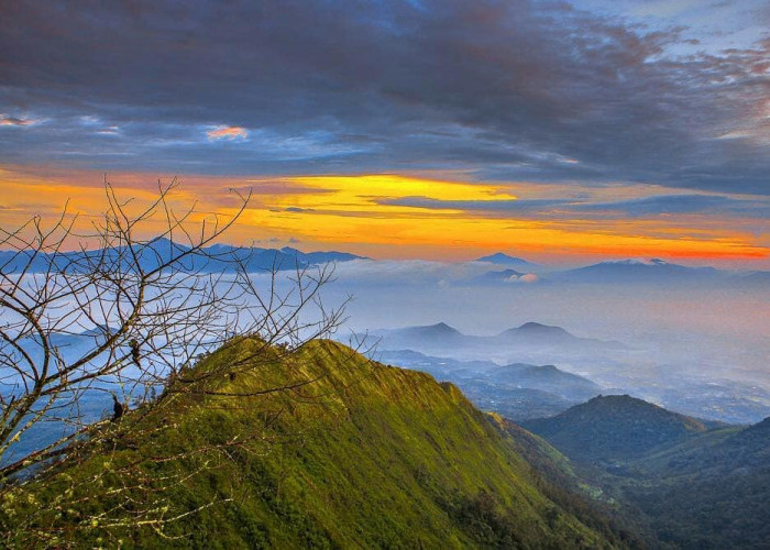 Menikmati Pesona Alam Gunung Puntang dan Mengungkap Jejak Sejarahnya