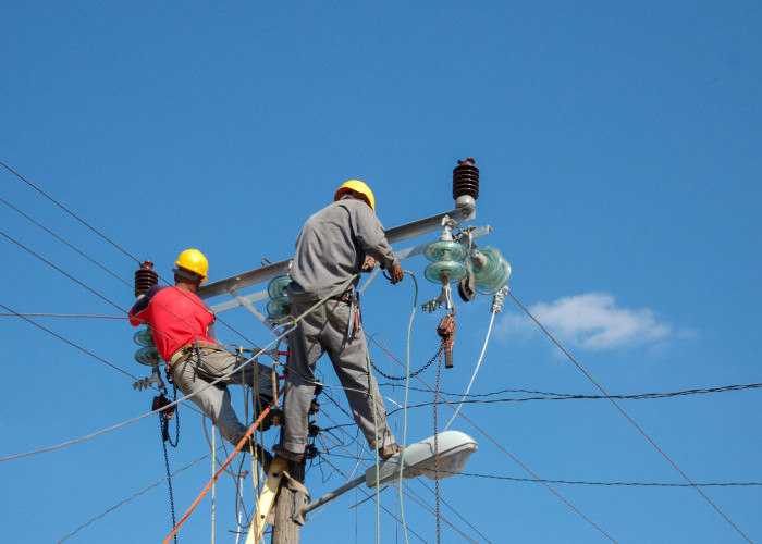 Cara Mendapatkan Diskon 50% Tarif Listrik dari PLN