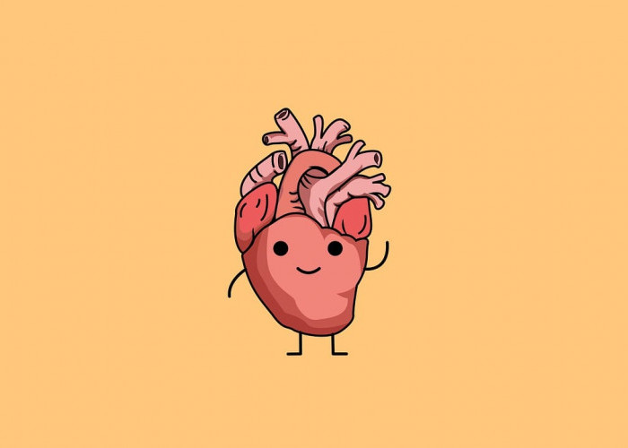 Tips Menjaga Kesehatan Jantung Agar Tetap Stabil