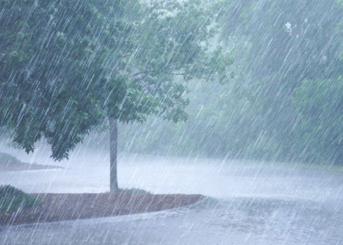 Waspada! BMKG Peringatkan Hujan Lebat 2-3 Februari 2026 Picu Banjir Bandang di Jawa dan Sumatera