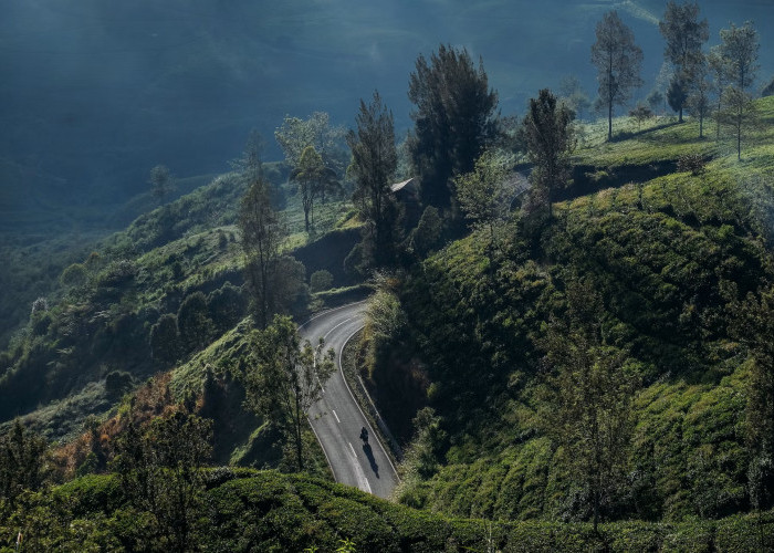 5 Lokasi Wisata Pangalengan Bandung Selatan yang Cantik Banget Bikin Betah