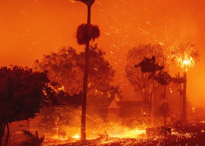 Los Angeles Dilanda Kebakaran Hutan, Ribuan Warga Mengungsi