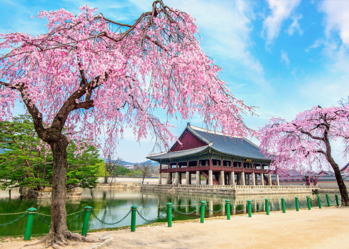 Rekomendasi Tempat Wisata di Korea Selatan, dan Alasan Mengapa Harus Datang ke Tempat Wisata Ini