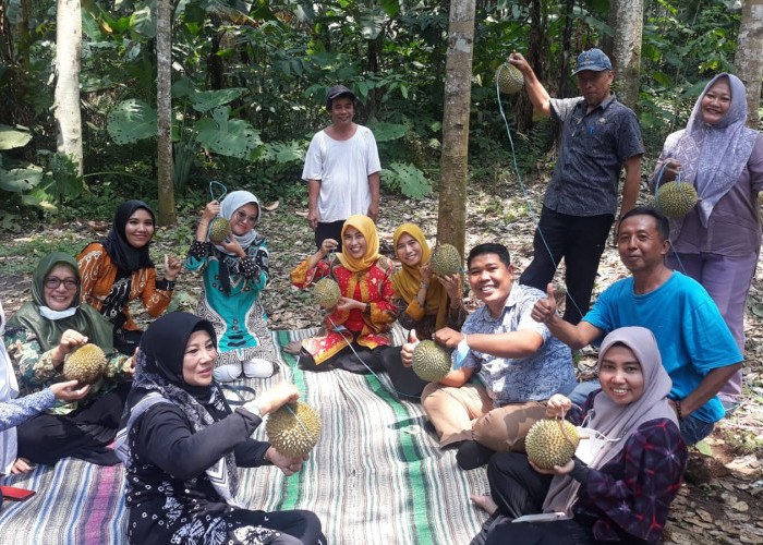 Serunya Menikmati Durian Langsung di Kebunnya Pak Walikota Serang di Baros 