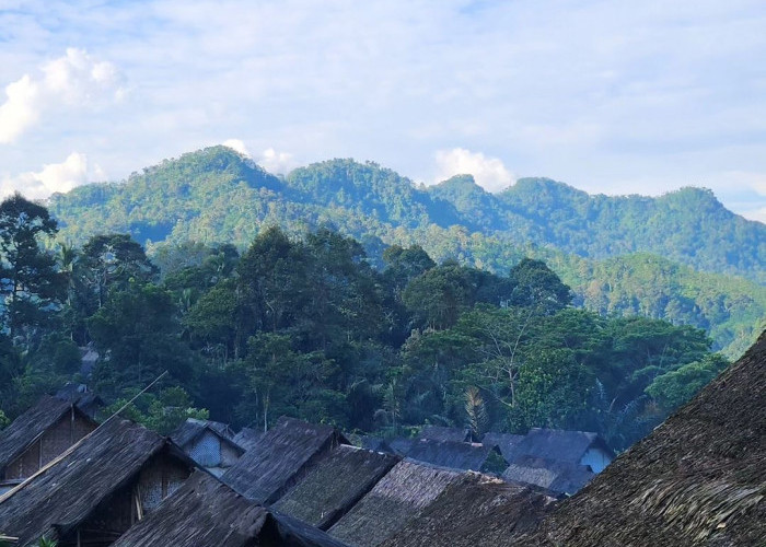 Mengenal Rumah Adat Suku Baduy Dibangun Tanpa Paku Bertahan Hingga My