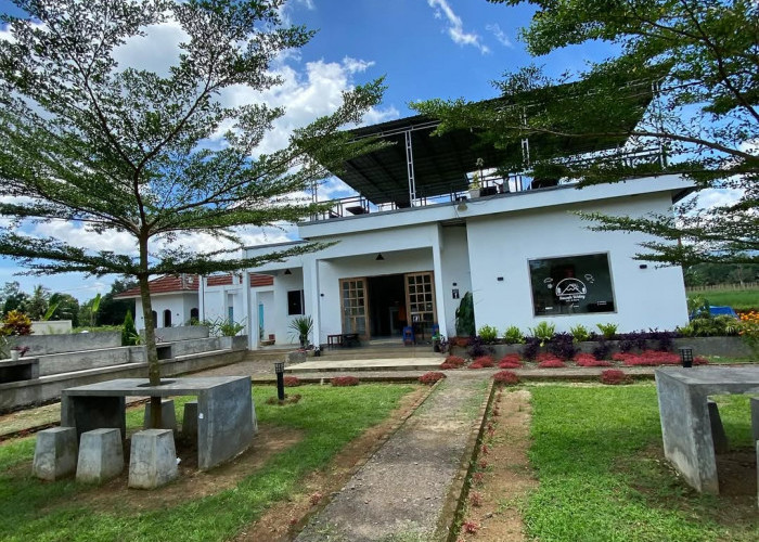 Cafe Sawah Widey: Ngopi Asri dengan Latar Gunung Pulosari dan Kelinci Lucu di Menes