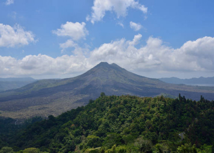 Pria Asal Cilegon Terjatuh Saat Cari Melinjo di Gunung Gede Serang, Tim SAR Lakukan Evakuasi