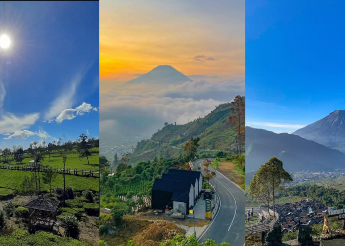 Wonosobo Panggil Kamu! Ini 3 Destinasi Wisata Wajib Kamu Coba dan Bikin Ketagihan