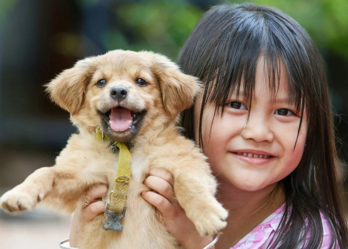 Gemas Banget, Ini 9 Anjing Keluarga Terbaik yang Aman Dipelihara