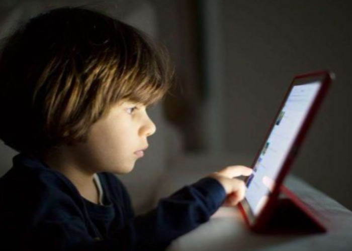 28 Juta Akun Anak Dilindungi PP Tunas, Roblox Paling Banyak Ubah Sistem
