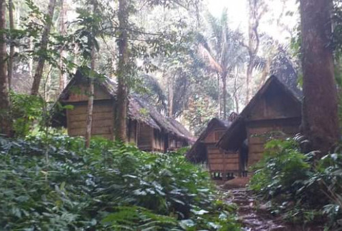 Mengelola Kearifan Lokal Menghindari Bencana: Belajar Dari Konstruksi Rumah Adat 