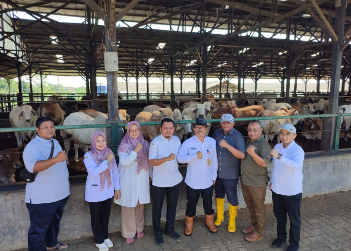 Dinas Pertanian Banten Pastikan Konsumsi Daging Masyarakat Saat Idul Fitri Dapat Terpenuhi