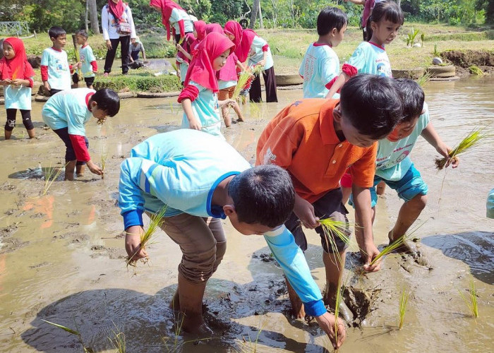 Liburan Akhir Tahun di 3 Lokasi Agrowisata Terdekat Dari Jakarta, Belajar Berkebun di Kawasan Pertanian