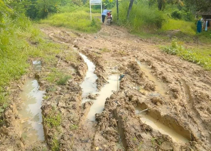 Lapor Jalan Rusak di Banten Bisa Lewat Aplikasi HP, Bagaimana Caranya?