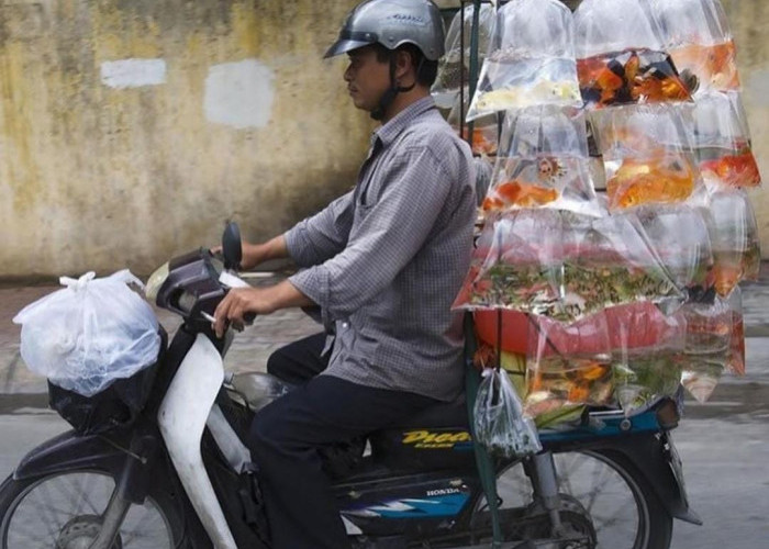 Cuma di Asia Tenggara, Ini Kumpulan Potret Unik Sepeda Motor Overload
