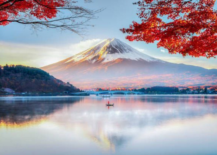 Ini Alasan Kenapa Kamu Harus Pergi Healing Berwisata ke Jepang