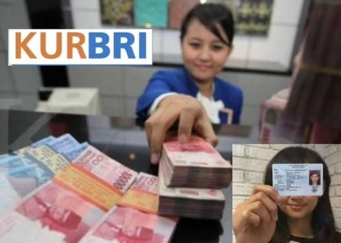 Program KUR BRI 2023 Bisa Untuk Pembiayaan Modal Usaha Salon Kecantikan 