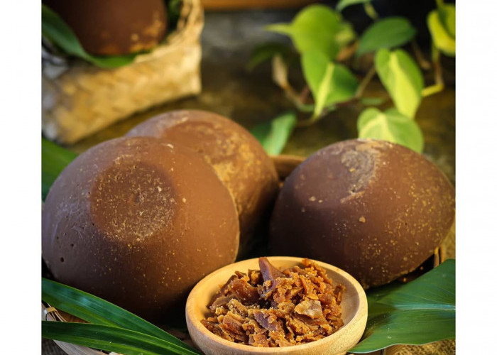 Gula Aren Khas Malingping Lebak Banten, Pemanis Alami yang Tetap Bertahan di Tengah Modernisasi