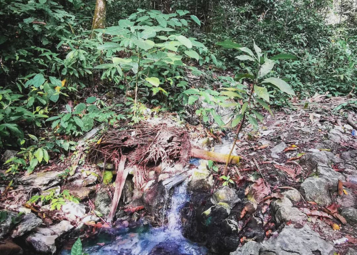 Air Panas Cibiuk, Pesona Wisata Alam dan Relaksasi di Taman Nasional Ujung Kulon Pandeglang