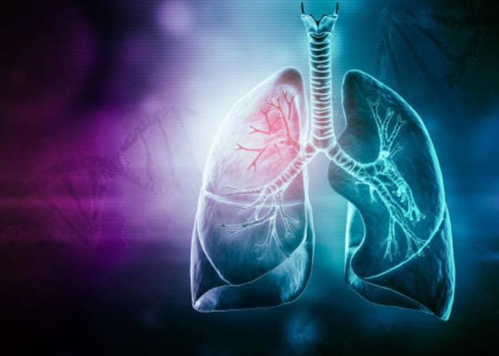 Bagaimana Cara Membuat Paru-paru Bisa Jadi Lebih Sehat? Lakukan Cara Mudah Ini