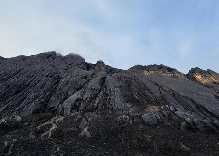 Fiersa Besari Selamat dari Tragedi Carstensz, Buka Suara Terkait Kejadian