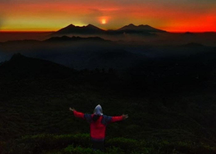 Ini Tempat Wisata di Bogor yang Keren-keren dan Instagramable