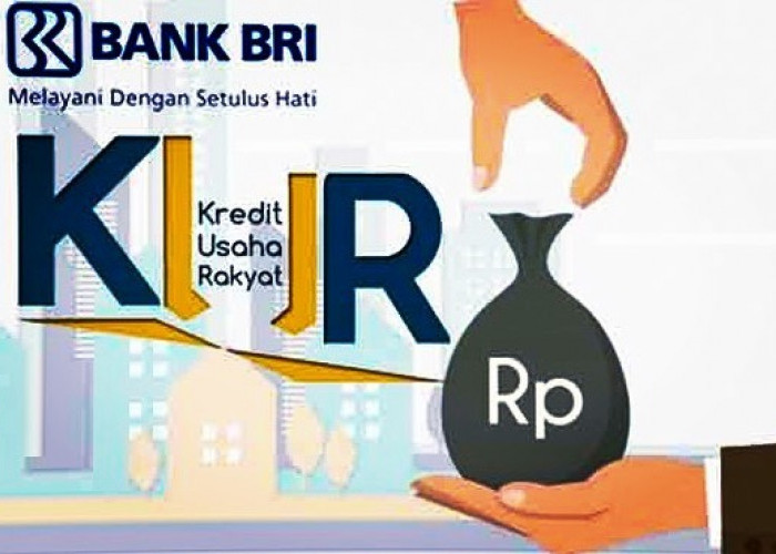 Kekurangan yang dimiliki KUR BRI 2023, UMKM Wajib tahu