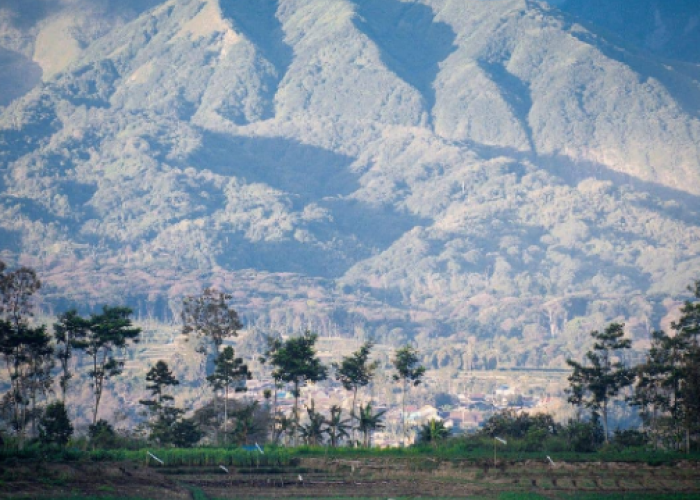 Waduk Selorejo, Wisata Malang yang Eksotis dengan View Super Cantik