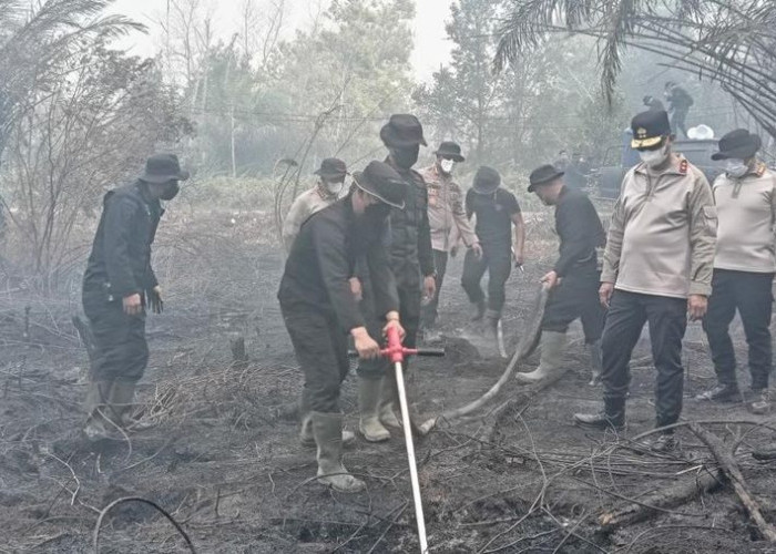 Teknologi Serbuk Pati Singkong Diandalkan Jinakkan Kebakaran Gambut di Kalteng