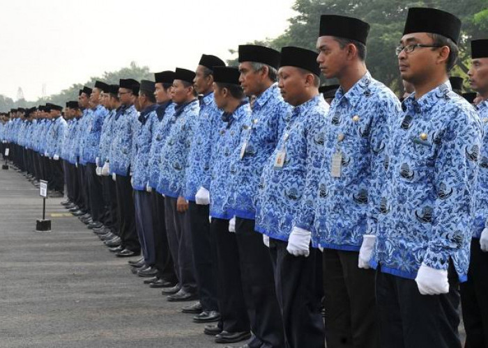 Pajak ASN Melonjak Hingga Rp9,16 Triliun, Apa yang Sebenarnya Terjadi?
